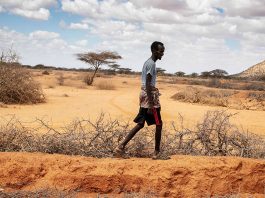 The Federal Government of Somalia and the United Nations warn that projected flooding and funding shortfalls could worsen the hunger crisis and push more people – especially children - into extreme food insecurity and acute malnutrition. ©FAO