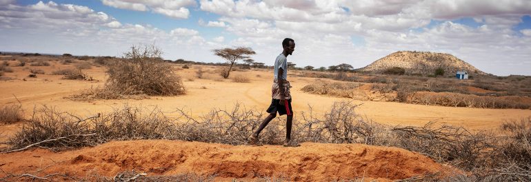 The Federal Government of Somalia and the United Nations warn that projected flooding and funding shortfalls could worsen the hunger crisis and push more people – especially children - into extreme food insecurity and acute malnutrition. ©FAO