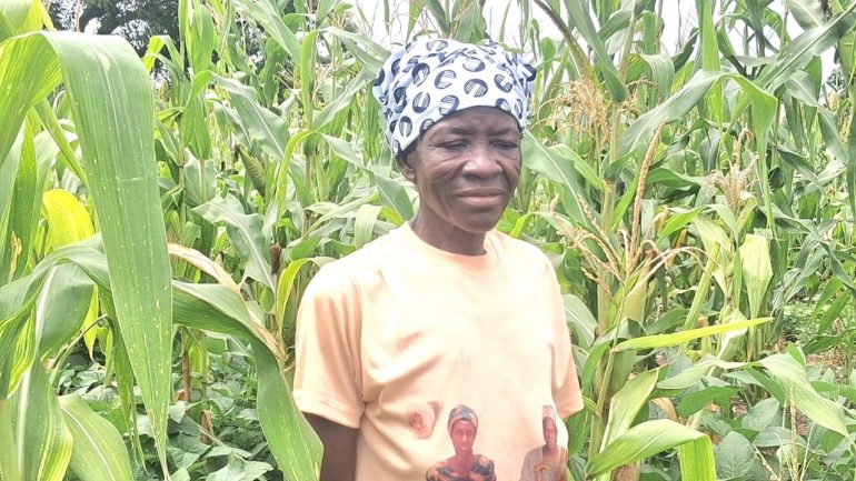 Smallholder farmers turn to organic farming to cut costs and build resilience