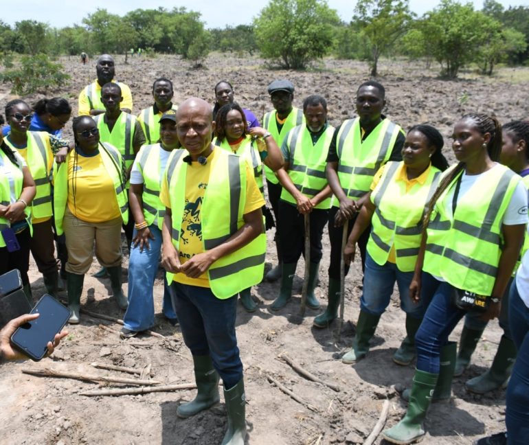 MTN Ghana, partners plant 1,666 trees to restore Chipa Forest Reserve