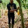 WHEN COCOA PRICES FALL, FARMERS SHOULDN’T HAVE TO BEAR THE COST.