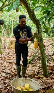 WHEN COCOA PRICES FALL, FARMERS SHOULDN’T HAVE TO BEAR THE COST.