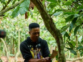 WHEN COCOA PRICES FALL, FARMERS SHOULDN’T HAVE TO BEAR THE COST.