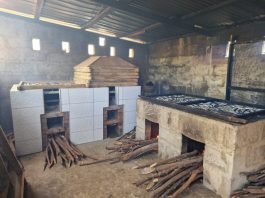 CSIR-FRI pilot tests safer fish smoking ovens for food safety, climate resilience