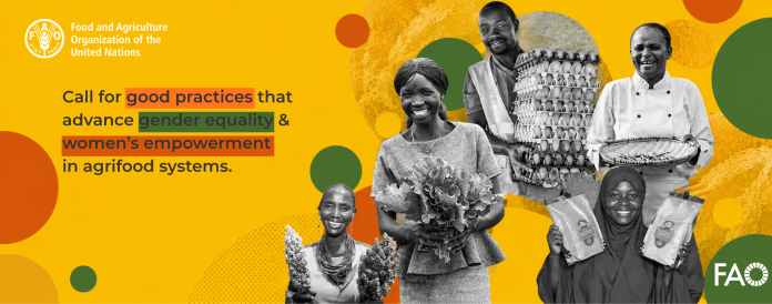 Call for submission of good practices on gender equality and women's empowerment