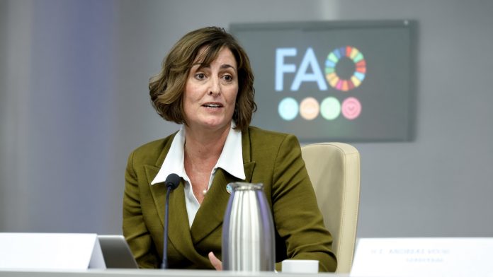 Beth Bechdol, FAO Deputy Director-General. ©FAO / Alessandra Benedetti Beth Bechdol, FAO Deputy Director-General. ©FAO / Alessandra Benedetti