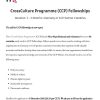 CrossCulture Programme (CCP) Fellowships 2027 (monthly stipend available)