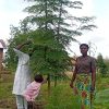 Growing Resilience: How Moringa Canopies Could Help Cool Smallholder Communities