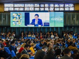 As FAO's highest global intergovernmental body on forestry, COFO has been fostering international collaboration, policy dialogue and technical guidance on forest-related issues since 1971. ©FAO/Giuseppe Carotenuto