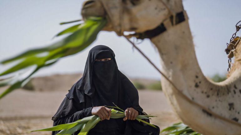 The SANABEL Project will work with farmers, businesses and local institutions to make agricultural value chains stronger, more productive and better connected to markets ©UNDP/Yemen 2024