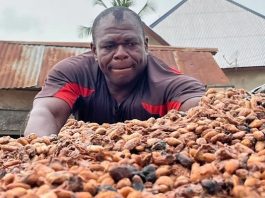Low cocoa price could undermine galamsey fight – Chief