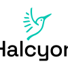 Halcyon’s Africa Innovation in Agriculture and Food Security Program