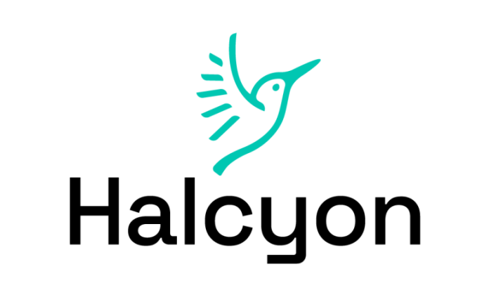 Halcyon’s Africa Innovation in Agriculture and Food Security Program