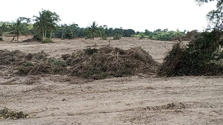 Over 700 farmers protest destruction of farms at Agona Kwesi Twikrom