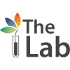 Global Innovation Lab for Climate Finance