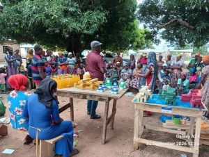 CSIR-SARI trains about 300 women in Upper West in livelihood skills  