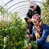 Established by the Director-General in 2022, SIF is a key pillar of the World Food Forum (WFF), whose theme this year is "Innovate Today. Nourish Tomorrow." ©FAO