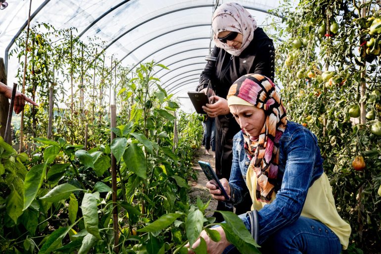 Established by the Director-General in 2022, SIF is a key pillar of the World Food Forum (WFF), whose theme this year is "Innovate Today. Nourish Tomorrow." ©FAO