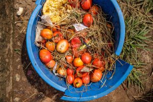 Food loss and waste also generate around 10 percent of global greenhouse gas emissions. Addressing the problem could improve the availability of nutritious food, particularly fruits and vegetables, which experience the highest rates of food loss.©FAO