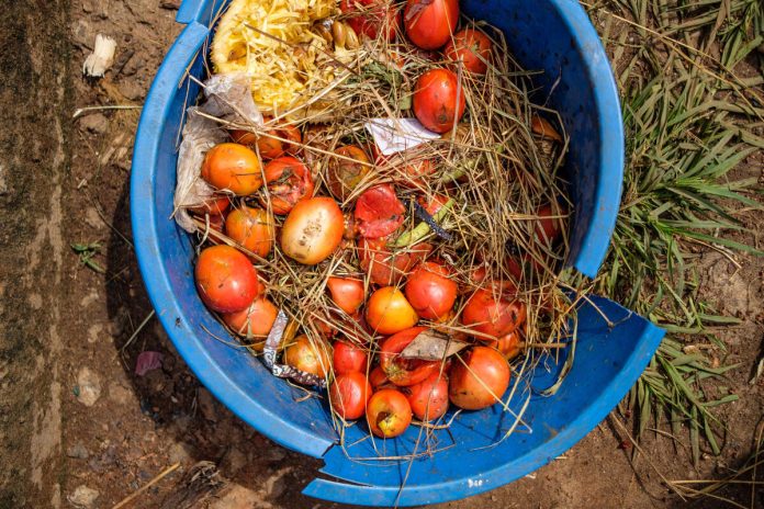 Food loss and waste also generate around 10 percent of global greenhouse gas emissions. Addressing the problem could improve the availability of nutritious food, particularly fruits and vegetables, which experience the highest rates of food loss. ©FAO Food loss and waste also generate around 10 percent of global greenhouse gas emissions. Addressing the problem could improve the availability of nutritious food, particularly fruits and vegetables, which experience the highest rates of food loss. ©FAO