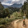Dryland forests provide vital ecosystems, resources and livelihoods for communities around the world. ©FAO/Luis Tato