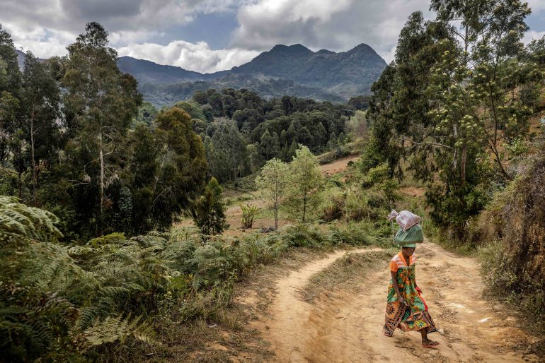 Dryland forests provide vital ecosystems, resources and livelihoods for communities around the world. ©FAO/Luis Tato